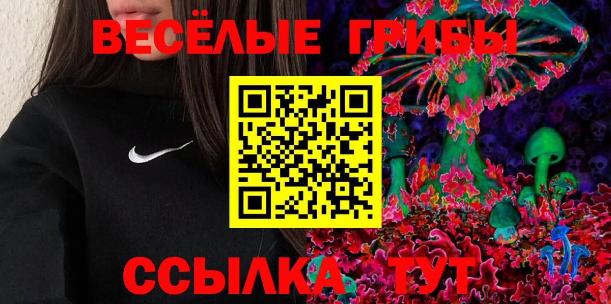 закладка  Вход с VPN  Кандалакша  Галлюциногенные грибы MAGIC MUSHROOMS 